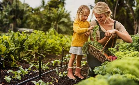 Mutter erntet mit kleinem Mädchen Gemüse aus dem eigenen Garten am Bodensee